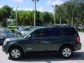 2008 Black Pearl Slate Metallic Ford Escape XLS  photo #7