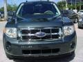 2008 Black Pearl Slate Metallic Ford Escape XLS  photo #9