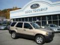 2007 Dune Pearl Metallic Ford Escape XLT V6 4WD  photo #1