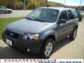 2007 Tungsten Grey Metallic Ford Escape XLT  photo #13