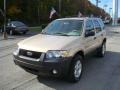 2007 Dune Pearl Metallic Ford Escape XLT V6 4WD  photo #5