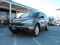 2007 Borrego Beige Metallic Honda CR-V EX  photo #1