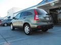 Borrego Beige Metallic - CR-V EX Photo No. 7