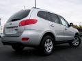 Bright Silver - Santa Fe GLS 4WD Photo No. 6