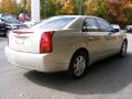 Gold Mist - CTS Sedan Photo No. 3