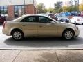 Gold Mist - CTS Sedan Photo No. 16