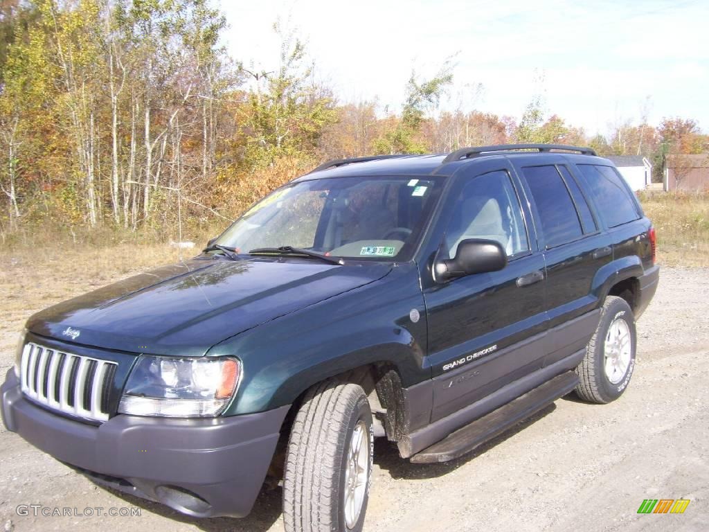 2004 Grand Cherokee Laredo 4x4 - Onyx Green Pearl / Dark Slate Gray photo #1