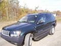 2004 Onyx Green Pearl Jeep Grand Cherokee Laredo 4x4  photo #1