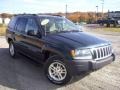 2004 Onyx Green Pearl Jeep Grand Cherokee Laredo 4x4  photo #3