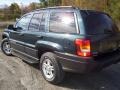 2004 Onyx Green Pearl Jeep Grand Cherokee Laredo 4x4  photo #5