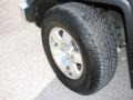 Titanium Metallic - FJ Cruiser 4WD Photo No. 13