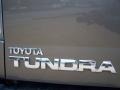 2007 Pyrite Mica Toyota Tundra SR5 Double Cab  photo #50