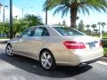 2010 Pearl Beige Metallic Mercedes-Benz E 350 Sedan  photo #8