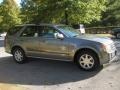 Silver Smoke Metallic - SRX V6 Photo No. 5