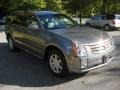Silver Smoke Metallic - SRX V6 Photo No. 6