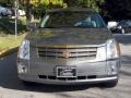 Silver Smoke Metallic - SRX V6 Photo No. 7
