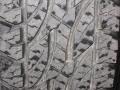 2006 Silver Birch Metallic GMC Sierra 1500 SLT Crew Cab 4x4  photo #22