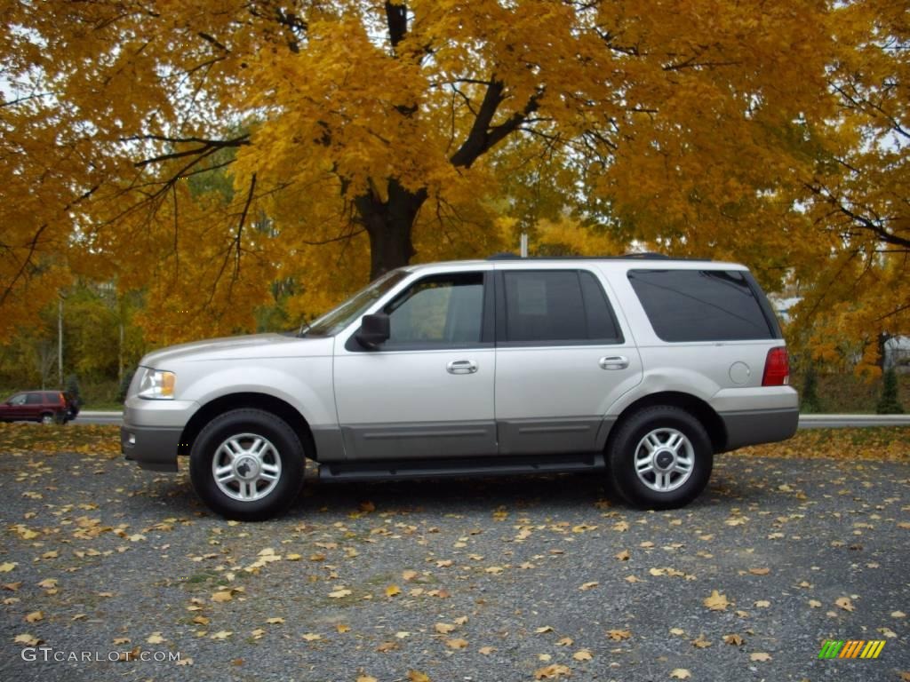 2003 Expedition XLT 4x4 - Silver Birch Metallic / Flint Grey photo #2