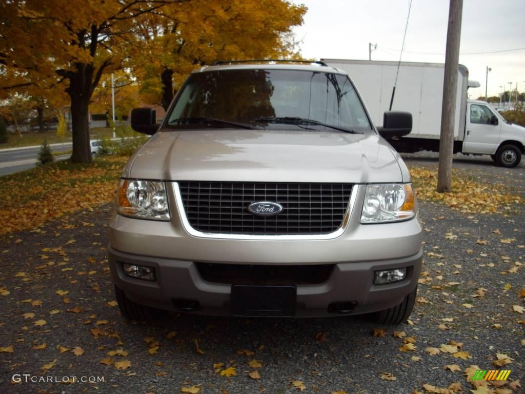 2003 Expedition XLT 4x4 - Silver Birch Metallic / Flint Grey photo #3