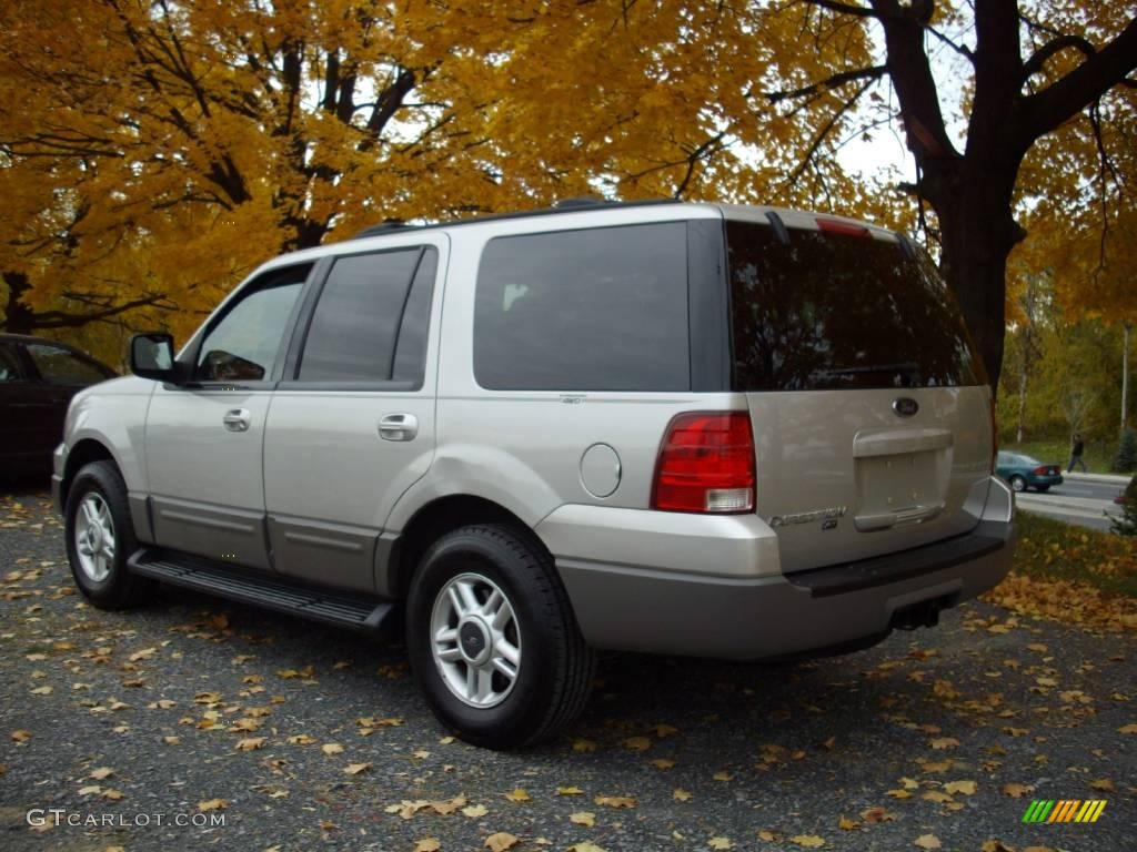 2003 Expedition XLT 4x4 - Silver Birch Metallic / Flint Grey photo #4