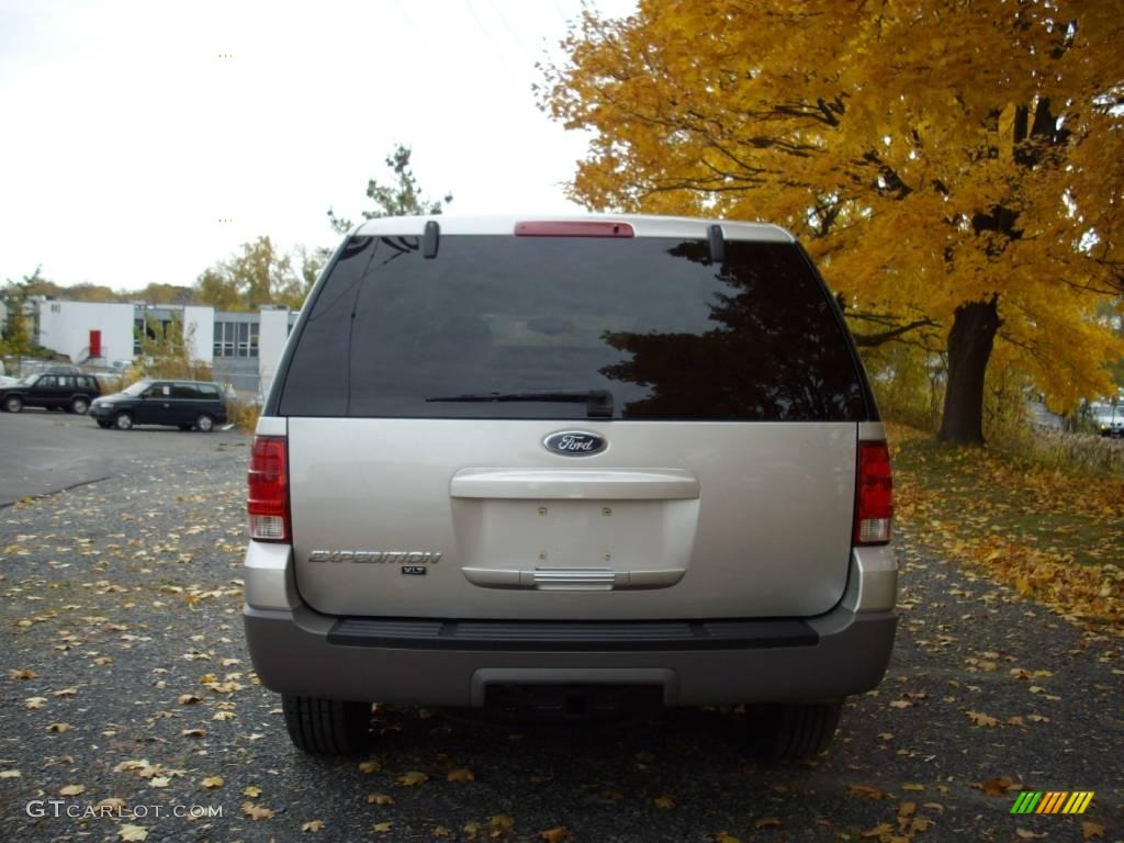 2003 Expedition XLT 4x4 - Silver Birch Metallic / Flint Grey photo #5