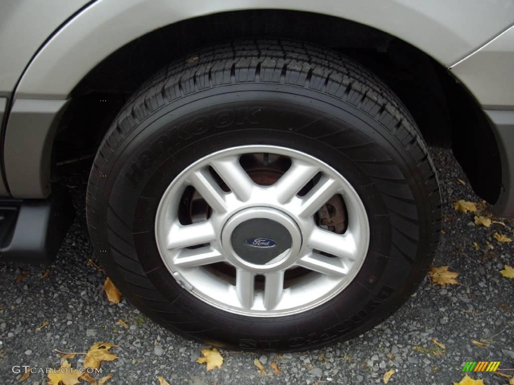 2003 Expedition XLT 4x4 - Silver Birch Metallic / Flint Grey photo #19