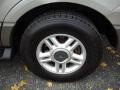 2003 Silver Birch Metallic Ford Expedition XLT 4x4  photo #19