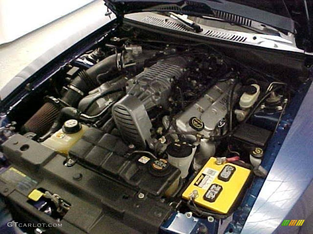 2004 Ford Mustang Cobra Coupe 4.6 Liter SVT Supercharged DOHC 32-Valve V8 Engine Photo #20330291