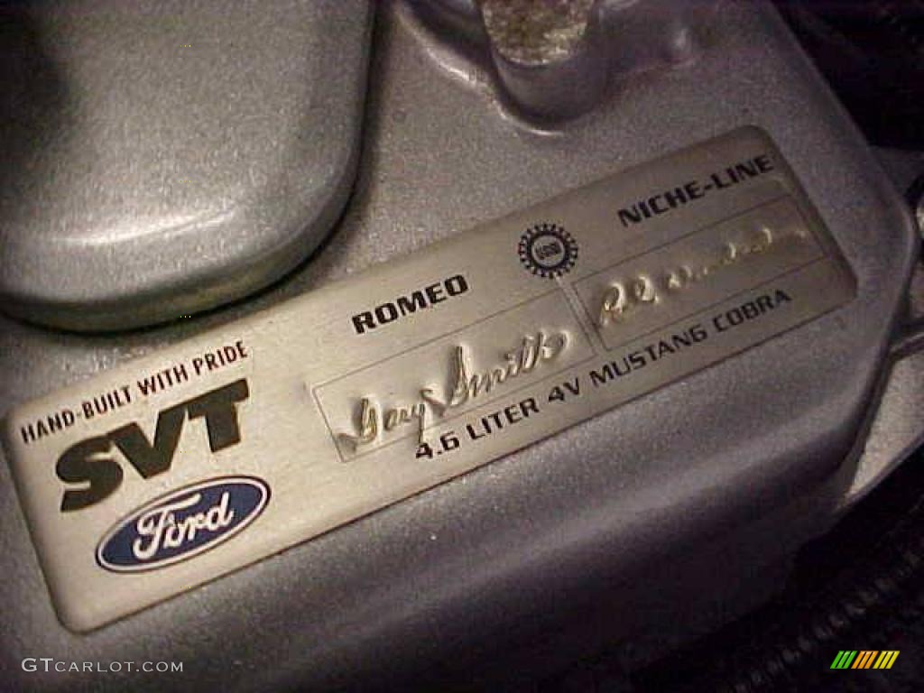 2004 Ford Mustang Cobra Coupe 4.6 Liter SVT Supercharged DOHC 32-Valve V8 Engine Photo #20330327