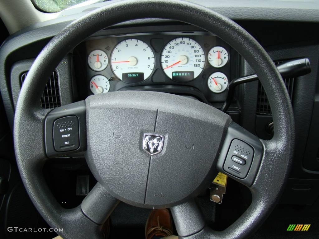 2004 Ram 1500 ST Regular Cab - Bright White / Dark Slate Gray photo #15