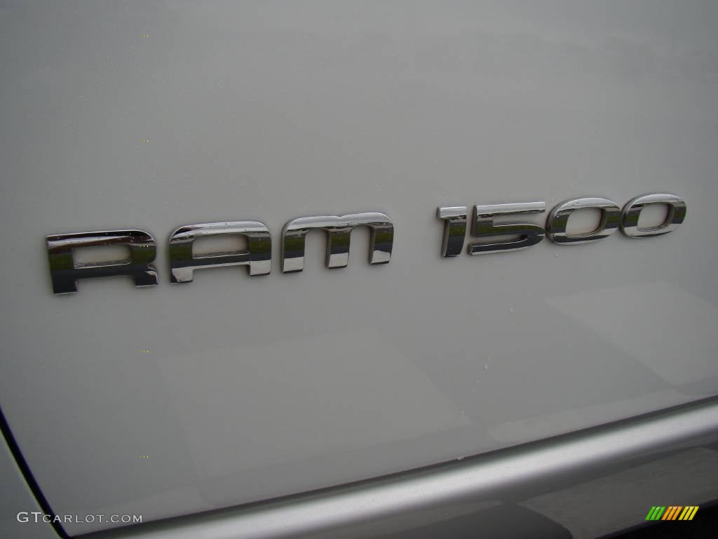 2004 Ram 1500 ST Regular Cab - Bright White / Dark Slate Gray photo #22