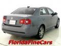 2006 Platinum Grey Metallic Volkswagen Jetta TDI Sedan  photo #2