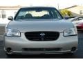 Sunlit Sand Metallic - Maxima SE Photo No. 7