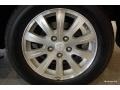 Maizen Blue Pearl - Galant ES Photo No. 26
