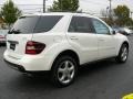 2008 Arctic White Mercedes-Benz ML 350 4Matic  photo #4