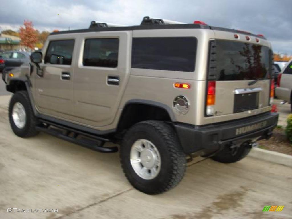 2003 H2 SUV - Pewter Metallic / Wheat photo #3