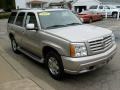 Quicksilver - Escalade AWD Photo No. 6