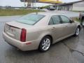 2006 Sand Storm Cadillac STS 4 V6 AWD  photo #6