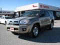 Driftwood Pearl - 4Runner SR5 Photo No. 2