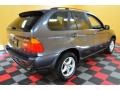Steel Grey Metallic - X5 3.0i Photo No. 6