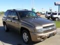 2003 Sandalwood Metallic Chevrolet TrailBlazer LS  photo #7