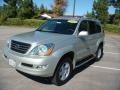 Silver Pine Metallic - GX 470 Photo No. 1