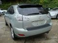 Bamboo Green Pearl - RX 350 AWD Photo No. 2