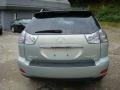 Bamboo Green Pearl - RX 350 AWD Photo No. 3