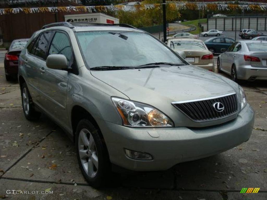 2007 RX 350 AWD - Bamboo Green Pearl / Ivory photo #5