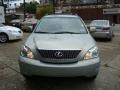 Bamboo Green Pearl - RX 350 AWD Photo No. 6