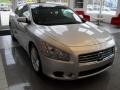 Radiant Silver Metallic - Maxima 3.5 SV Photo No. 4