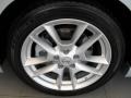 Radiant Silver Metallic - Maxima 3.5 SV Photo No. 35