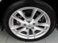 Radiant Silver Metallic - Maxima 3.5 SV Photo No. 36