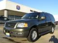 Estate Green Metallic - Expedition XLT Photo No. 1